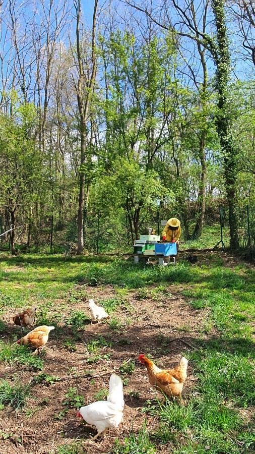 Il Casolare Del Medio Olona Fagnano Olona Exterior foto
