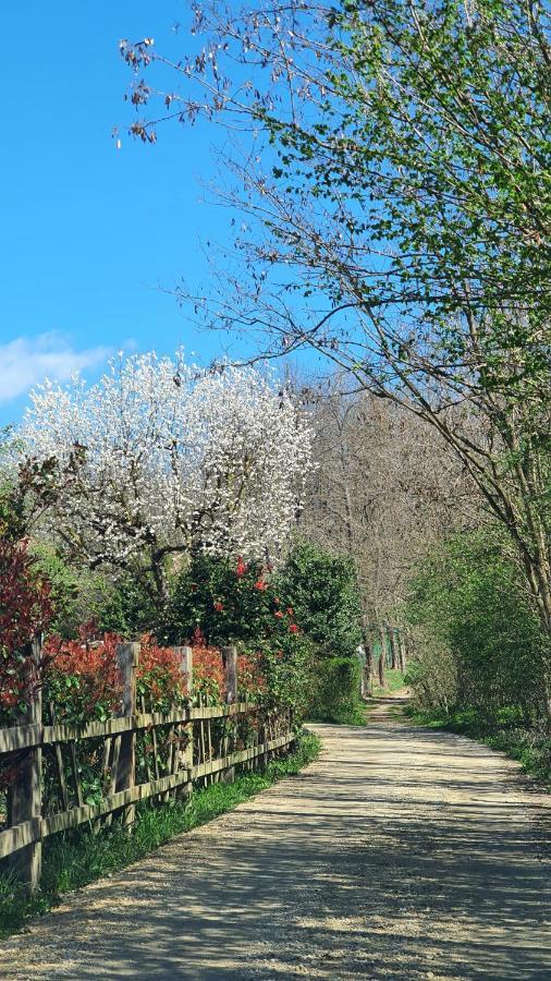 Il Casolare Del Medio Olona Fagnano Olona Exterior foto